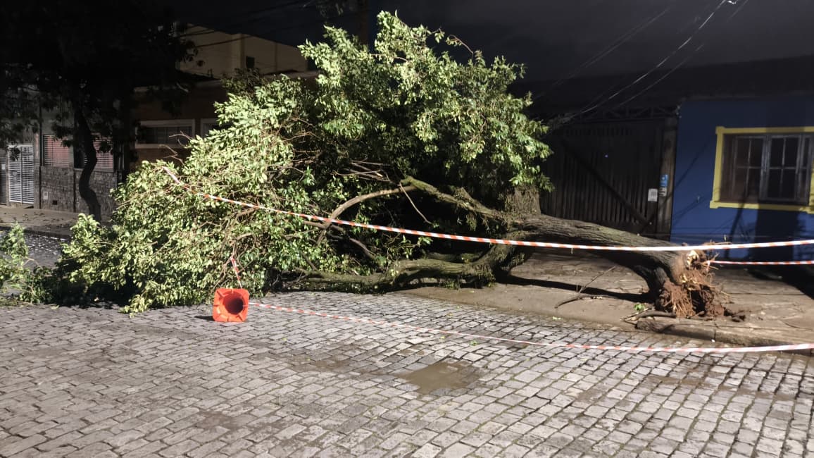Foto 40 de 67 — TEMPORAL EM FOTOS: veja imagens de destruição em Araraquara